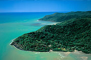 Daintree Rainforest
